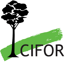 CIFOR-ICRAF Logo